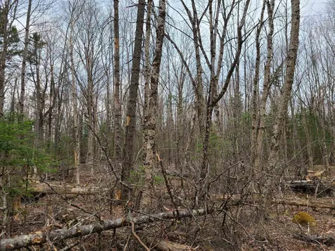Lot 30 Franconia Mountains Road Franconia NH 03580
