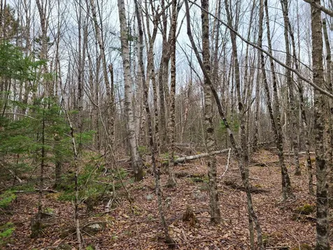 Lot 30 Franconia Mountains Road Franconia NH 03580