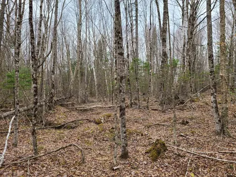 Lot 30 Franconia Mountains Road Franconia NH 03580