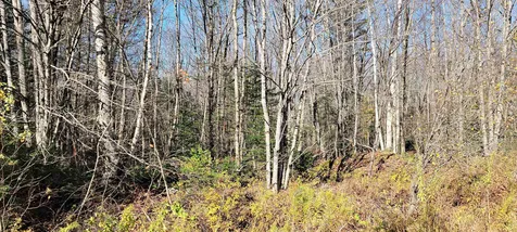 Lot 30 Franconia Mountains Road Franconia NH 03580