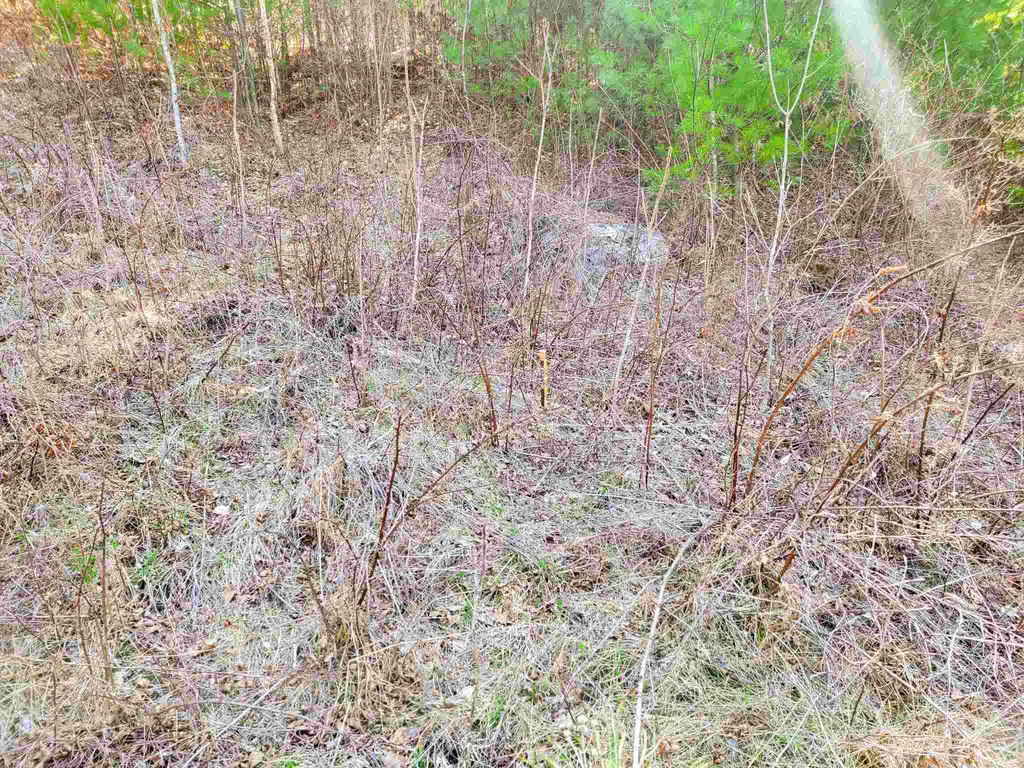 205 Slack Hill Road Royalton VT 05068