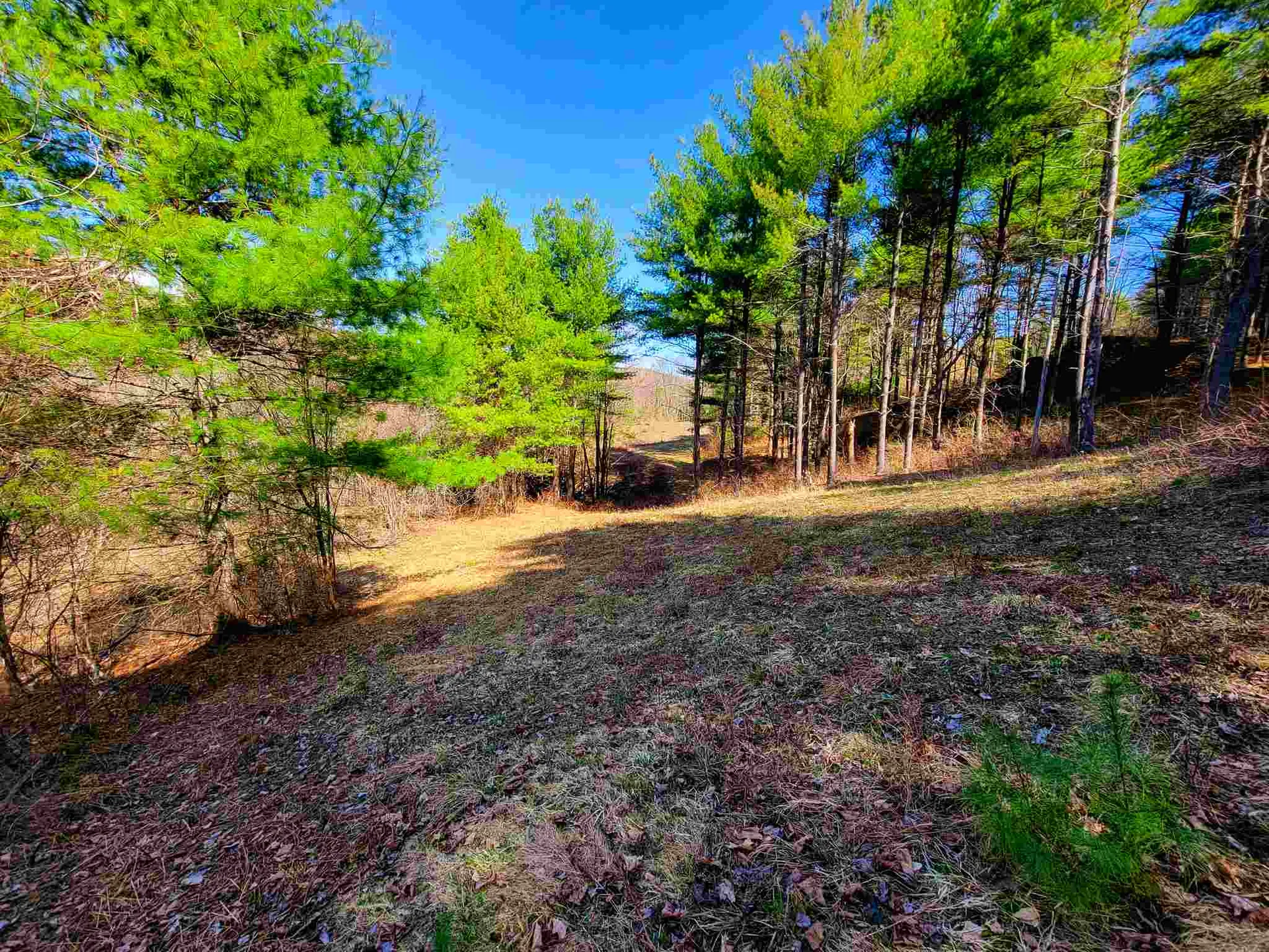 205 Slack Hill Road Royalton VT 05068