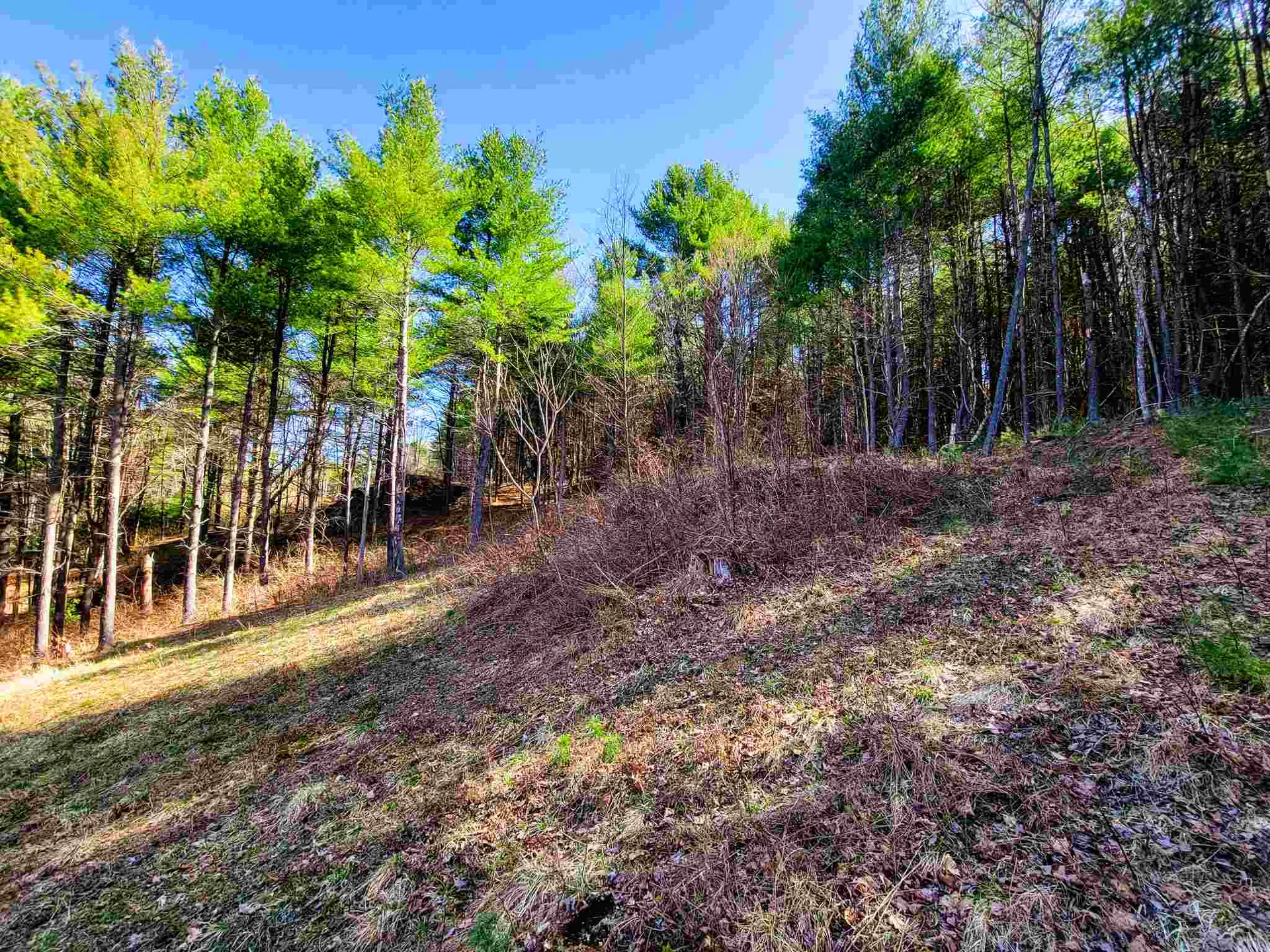 205 Slack Hill Road Royalton VT 05068