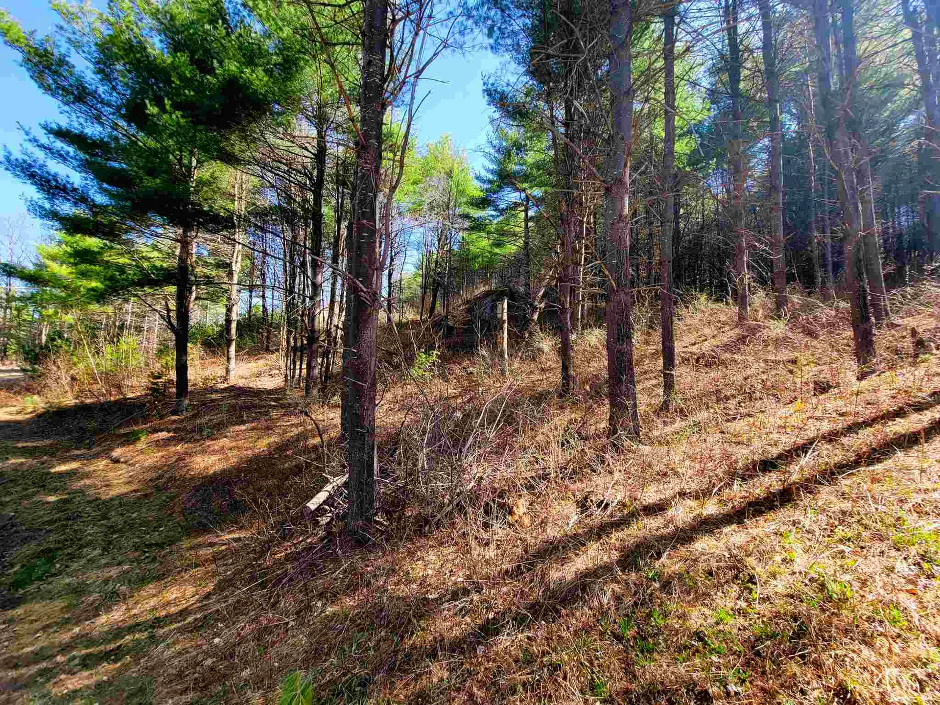 205 Slack Hill Road Royalton VT 05068
