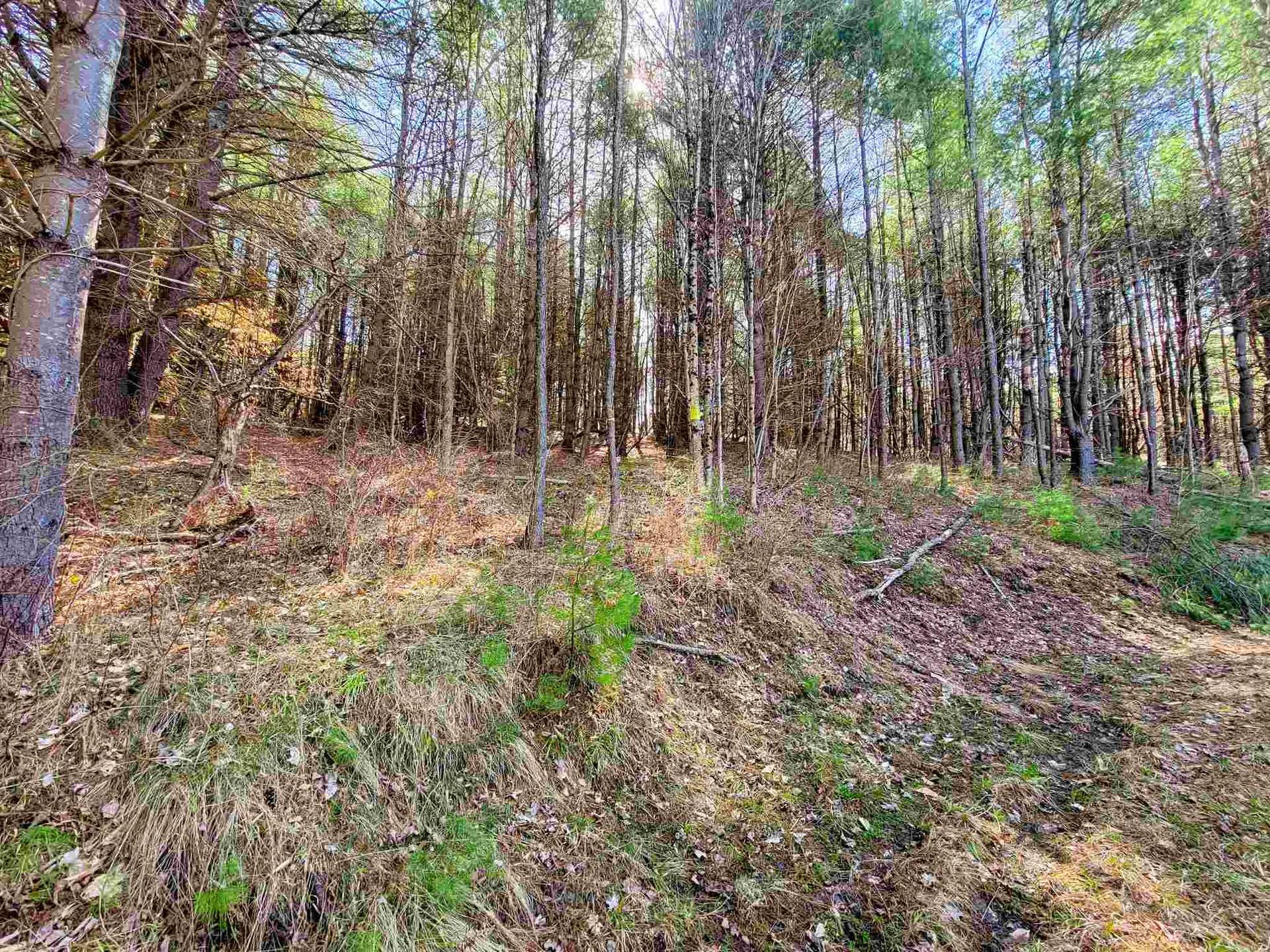 205 Slack Hill Road Royalton VT 05068