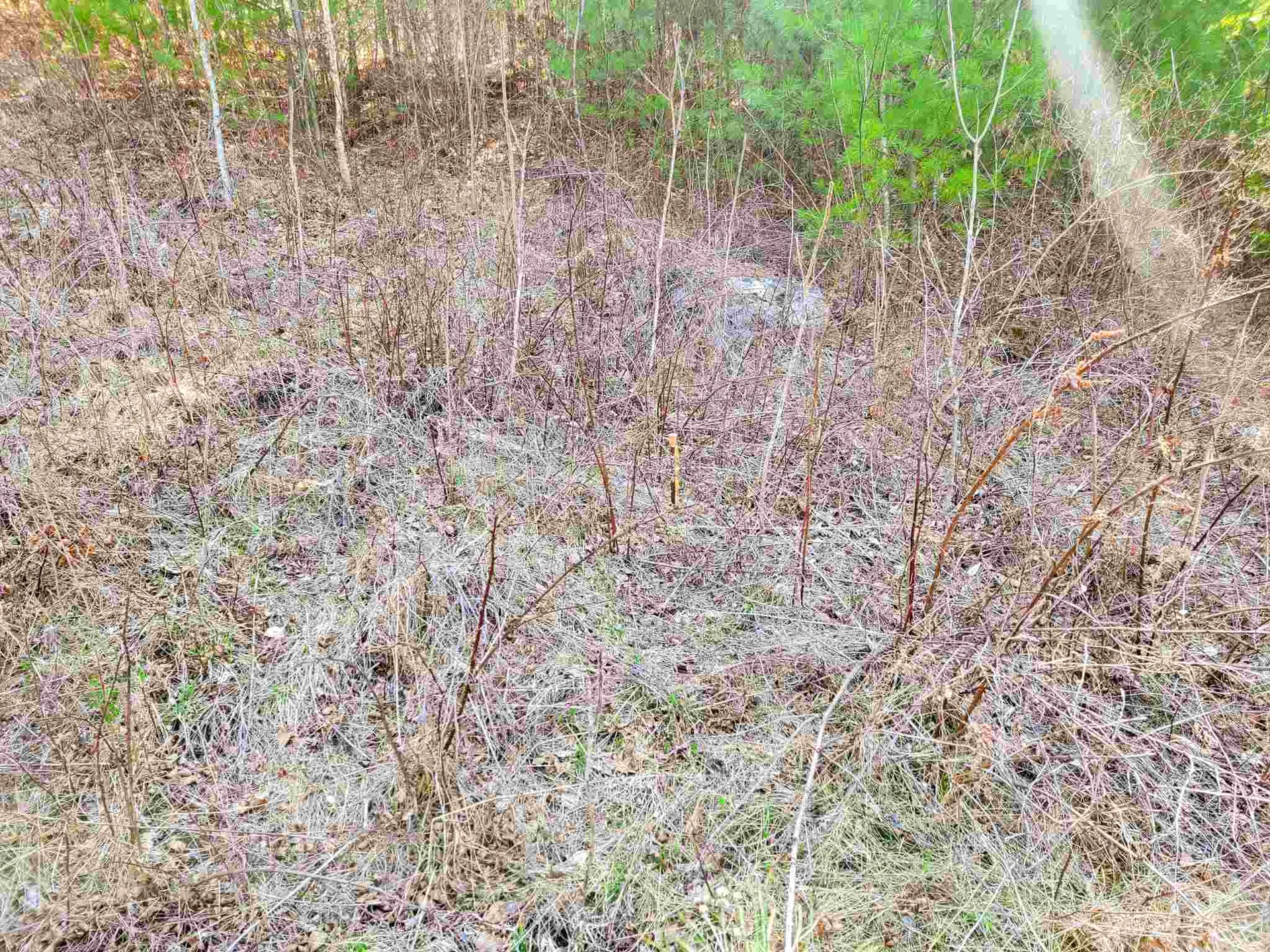 205 Slack Hill Road Royalton VT 05068