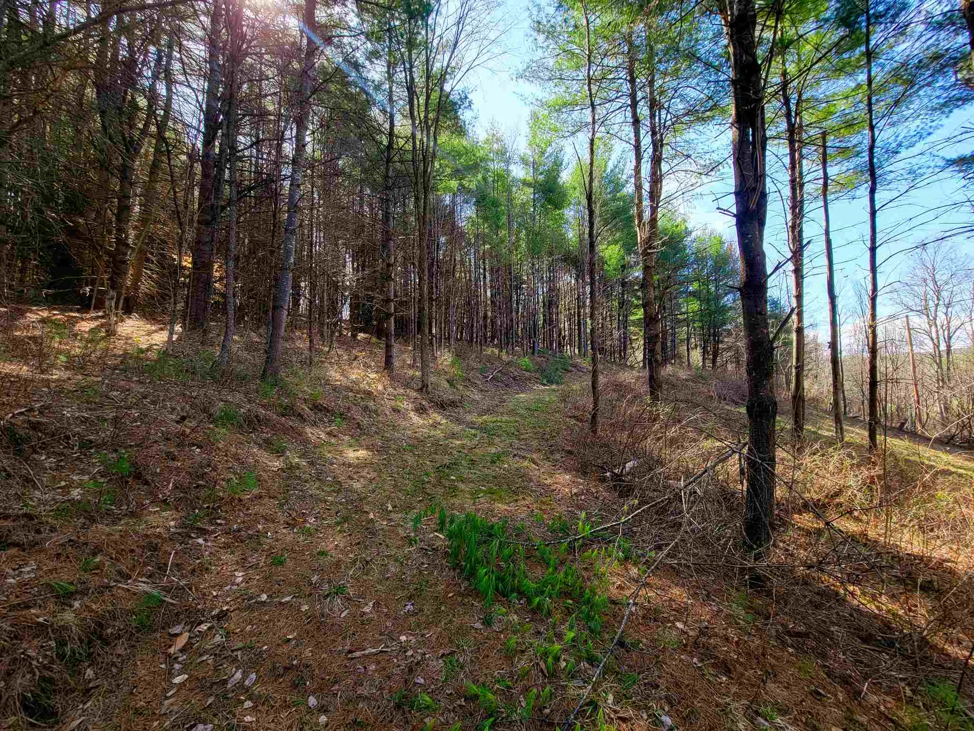 205 Slack Hill Road Royalton VT 05068