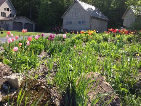 136 Eagle Mountain Harbor Road Milton VT 05468