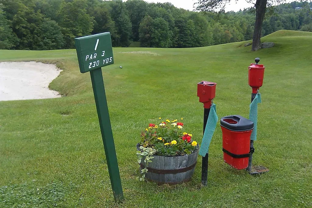 102 Fairway Drive Sunapee NH 03782
