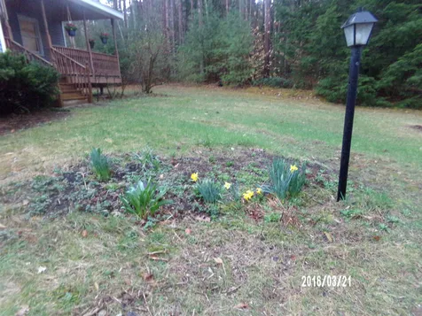 83 Deer Run Lane Westford VT 05494