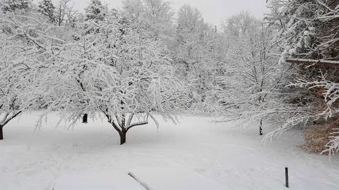 83 Deer Run Lane Westford VT 05494