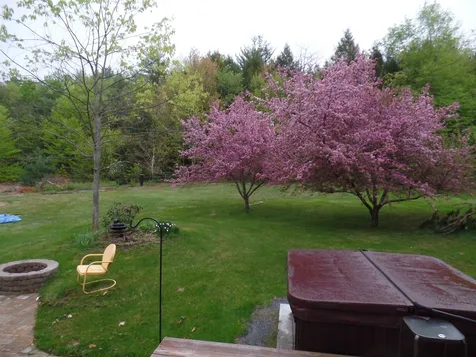 83 Deer Run Lane Westford VT 05494
