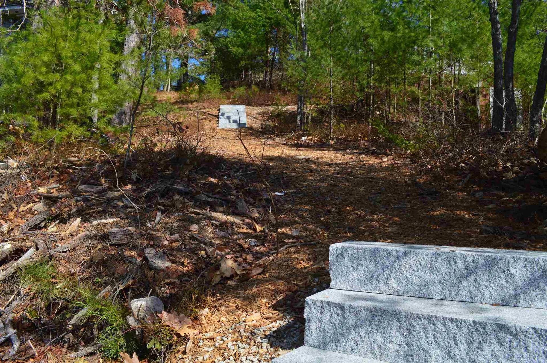 113 East Danforth Road Freedom NH 03836