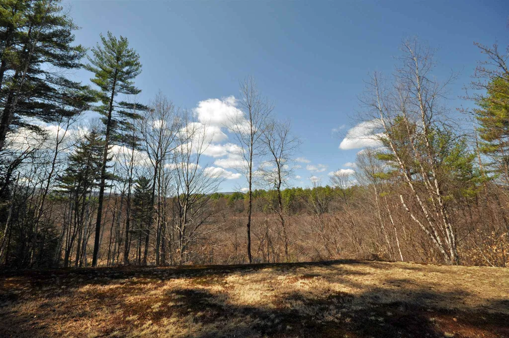 55 Thissell Road Alexandria NH 03222