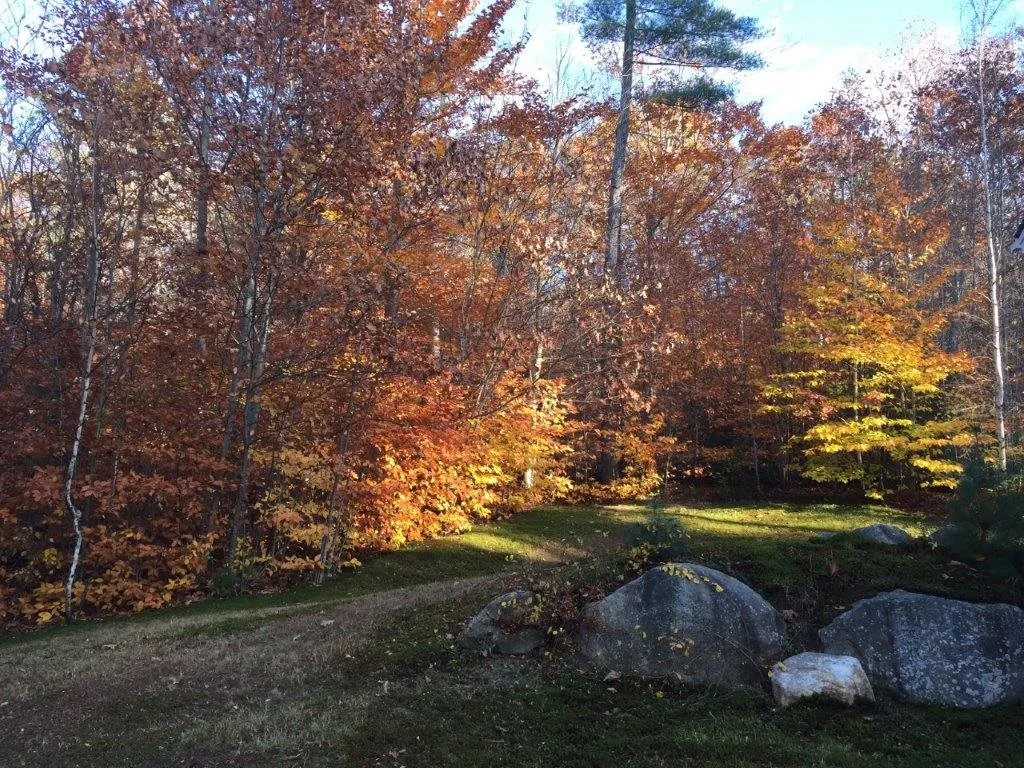 55 Thissell Road Alexandria NH 03222