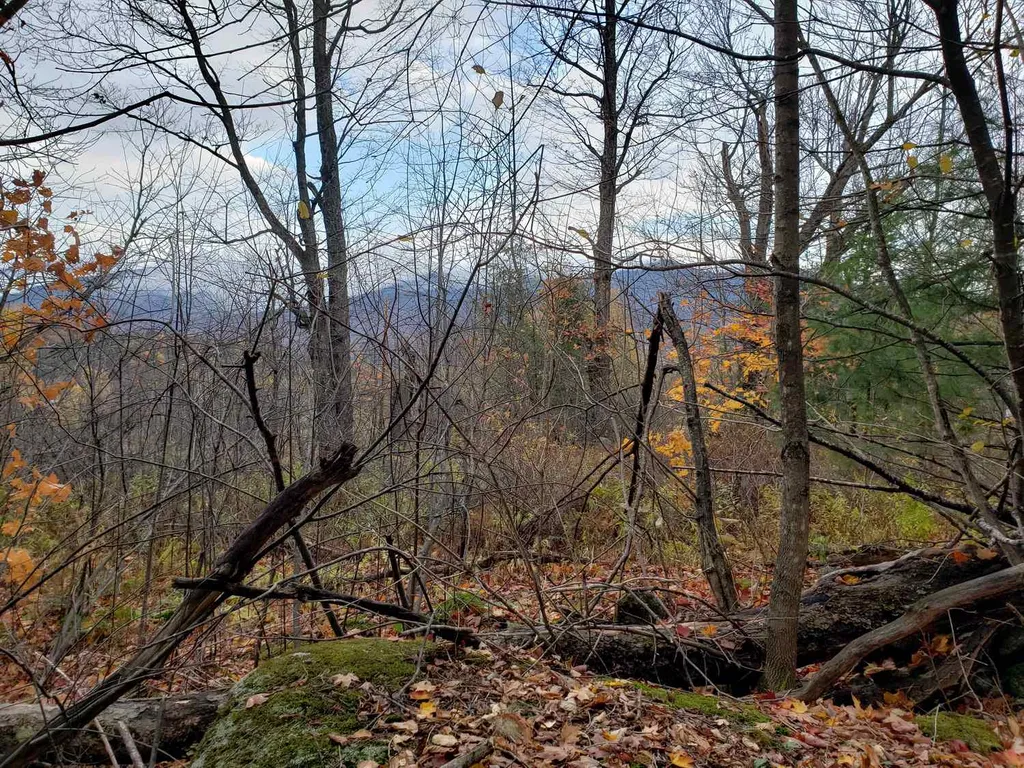 94 North Peak Drive Easton NH 03580