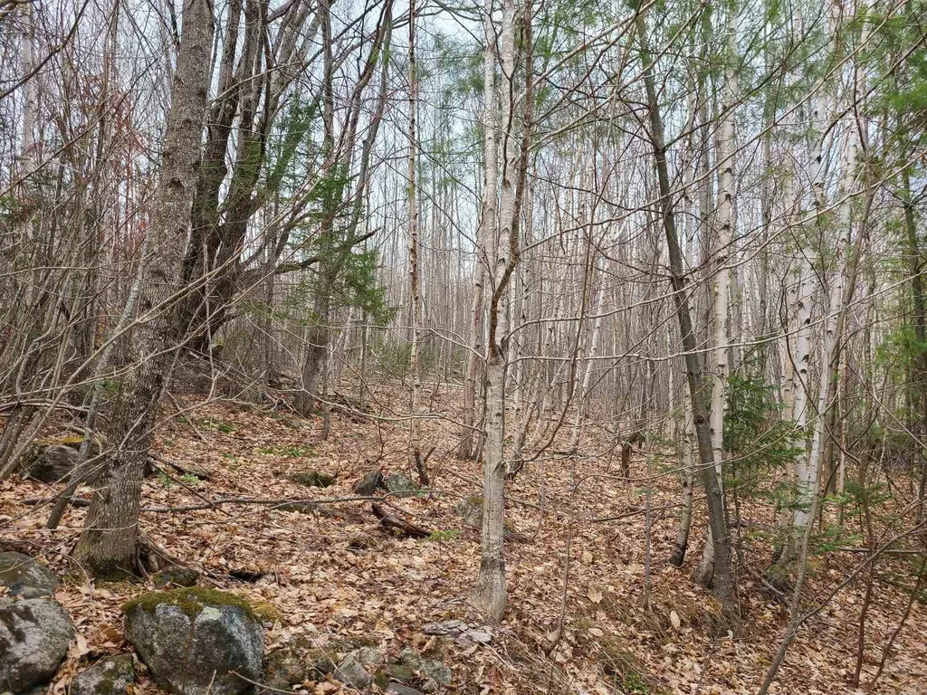 94 North Peak Drive Easton NH 03580