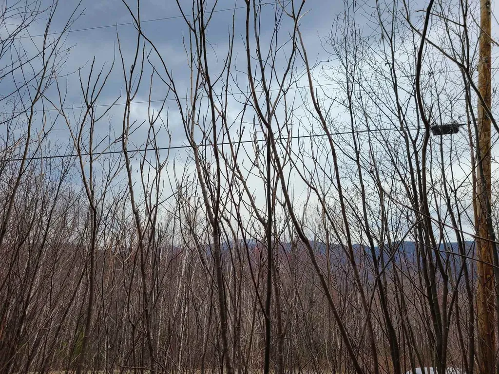94 North Peak Drive Easton NH 03580