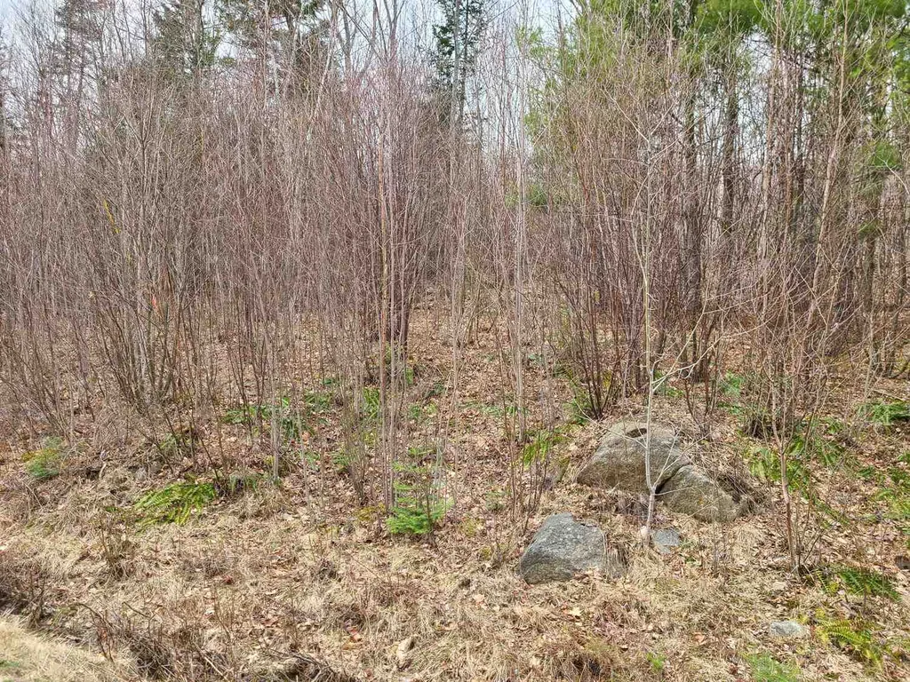 94 North Peak Drive Easton NH 03580