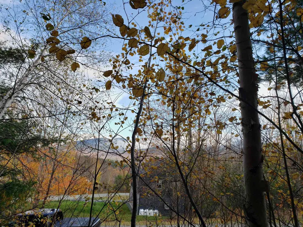 94 North Peak Drive Easton NH 03580