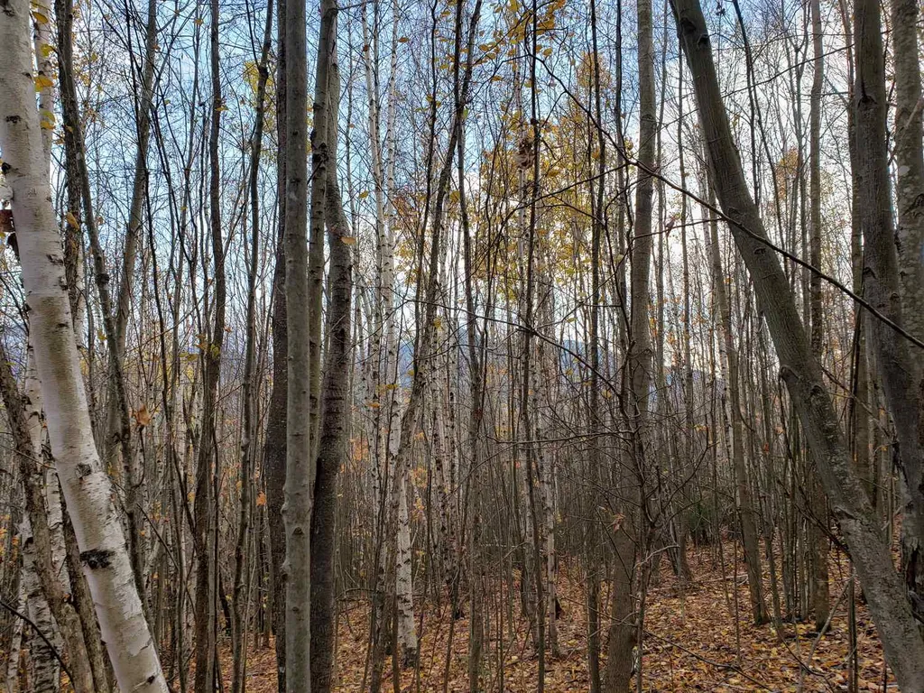 94 North Peak Drive Easton NH 03580