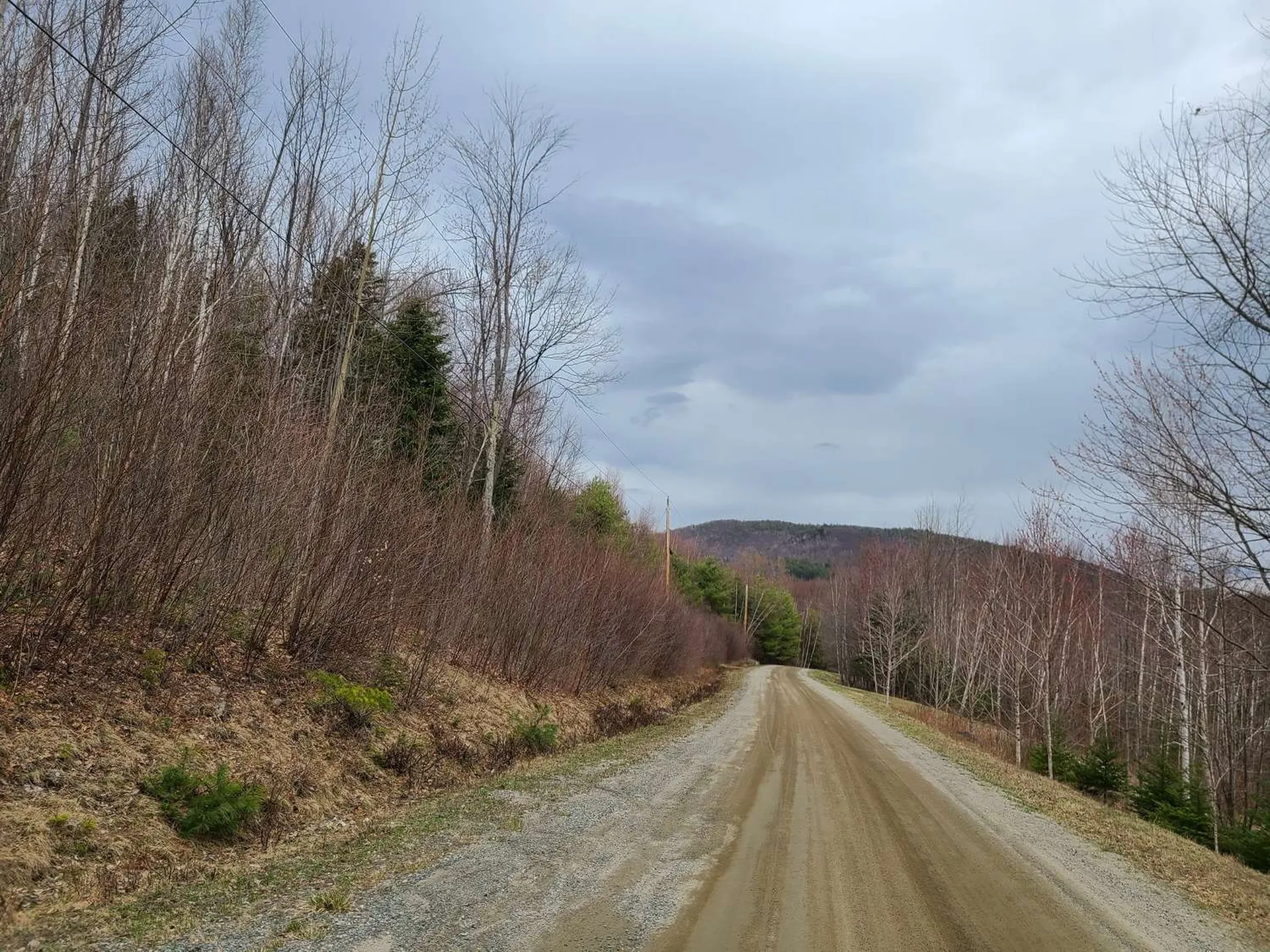 94 North Peak Drive Easton NH 03580