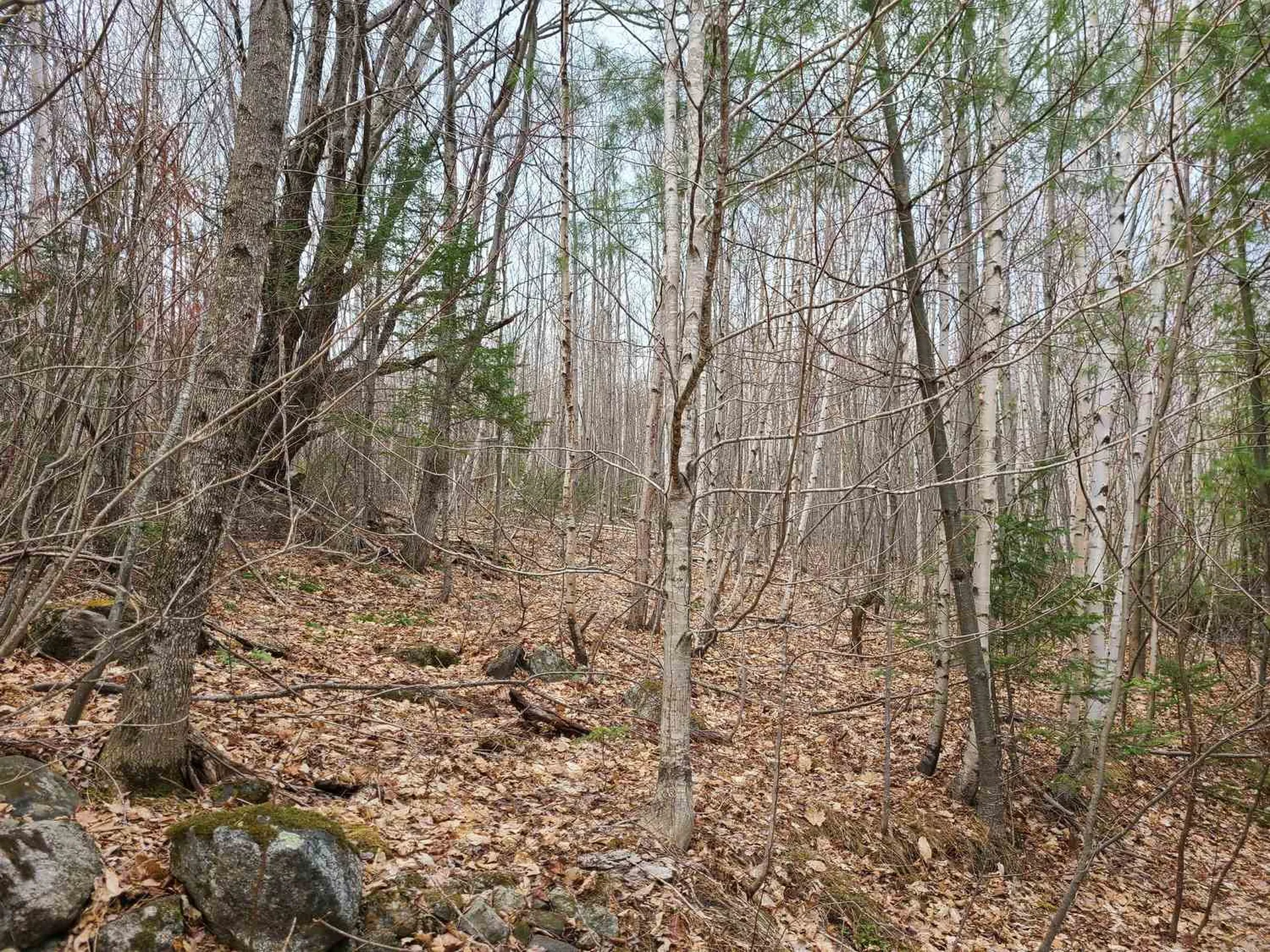 94 North Peak Drive Easton NH 03580