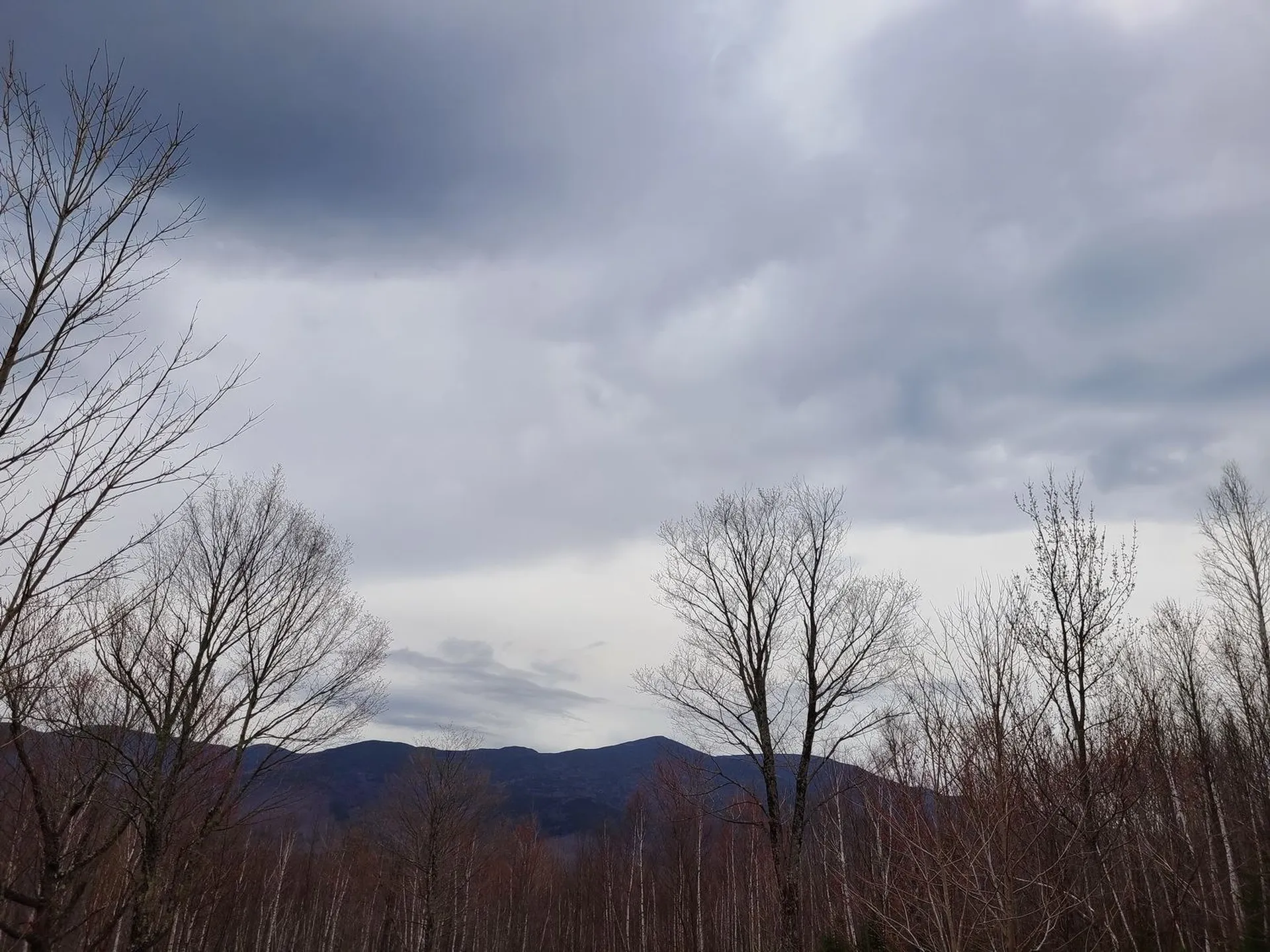 94 North Peak Drive Easton NH 03580
