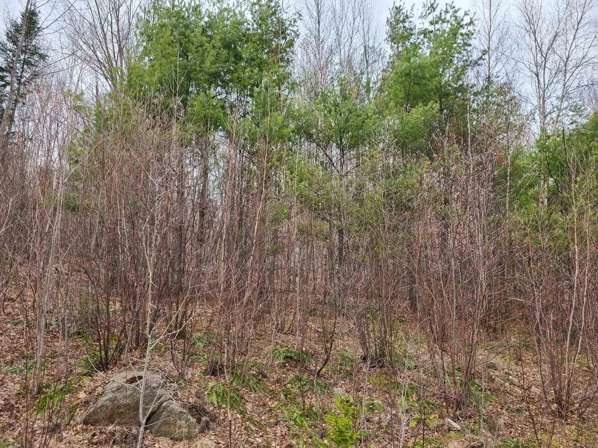 94 North Peak Drive Easton NH 03580
