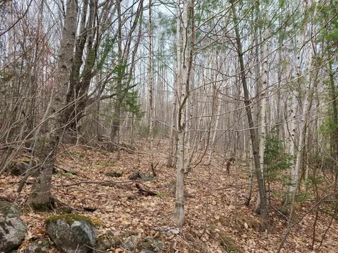 94 North Peak Drive Easton NH 03580