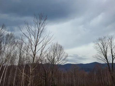 94 North Peak Drive Easton NH 03580