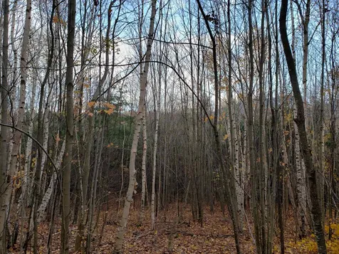 94 North Peak Drive Easton NH 03580