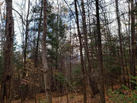 94 North Peak Drive Easton NH 03580