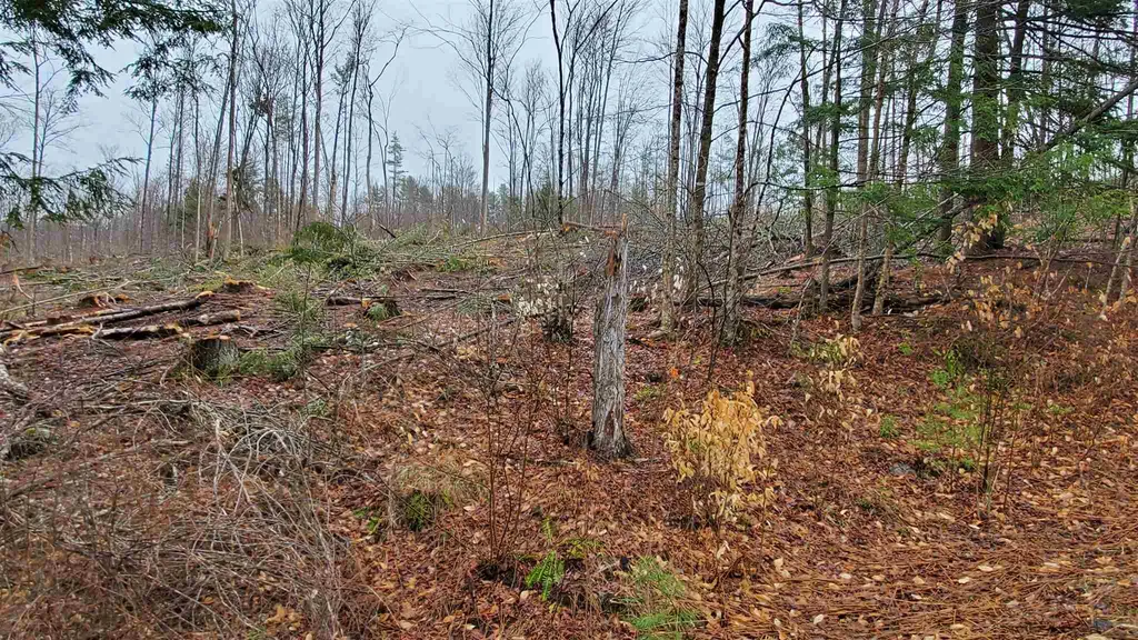 1775 Wildlife Road Hartford VT 05084