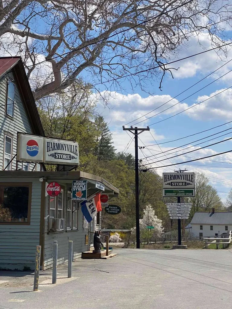 1412 Vt Route 30 Townshend VT 05353