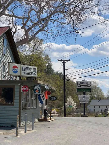 1412 Vt Route 30 Townshend VT 05353