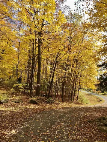 141 Ware Road Wilmington VT 05363