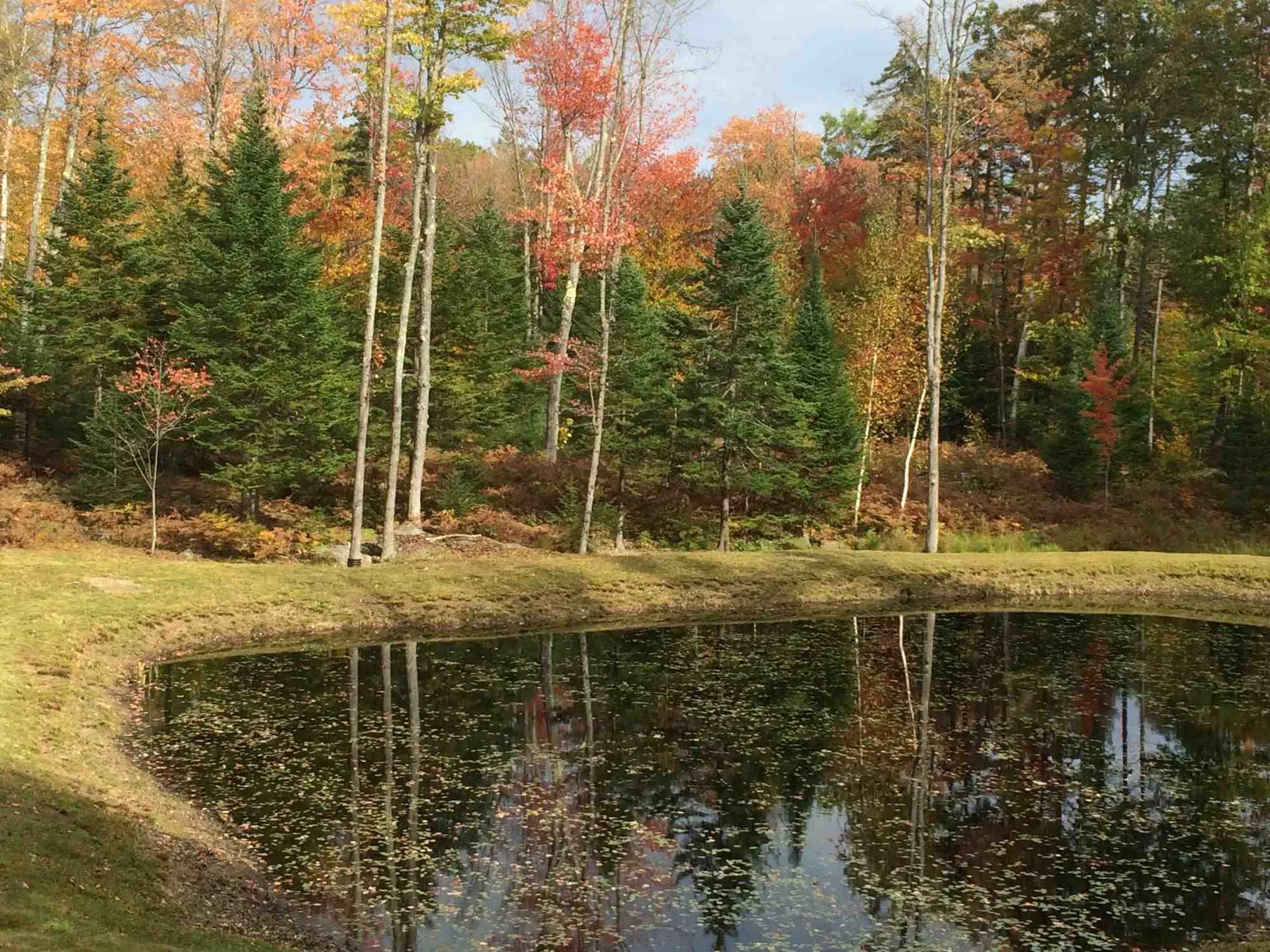 58 Seaward Drive Danbury NH 03230