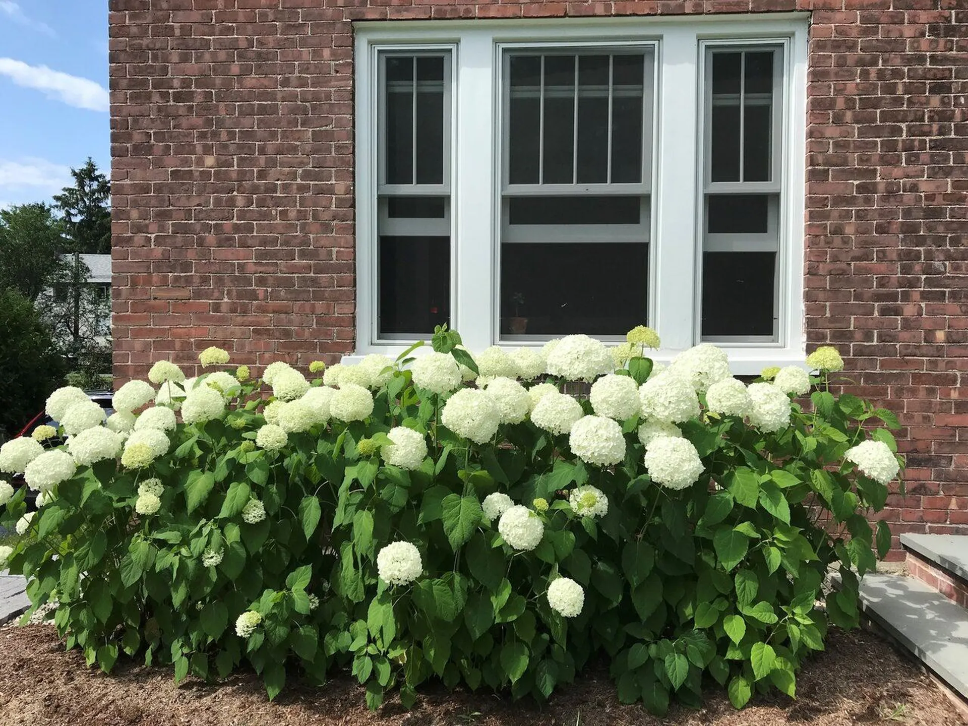 48 Henderson Terrace Burlington VT 05401