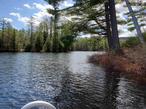 41 Birch Lane Grafton NH 03240
