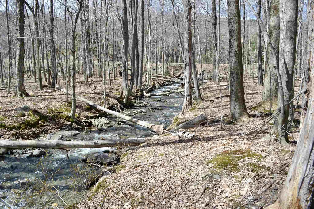 4 Raspberry Lane Fayston VT 05673