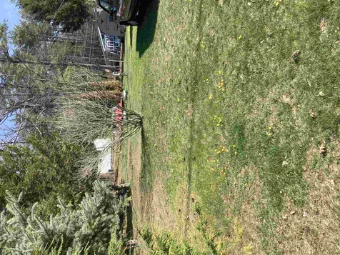 27 Beatrice Street Danville NH 03819