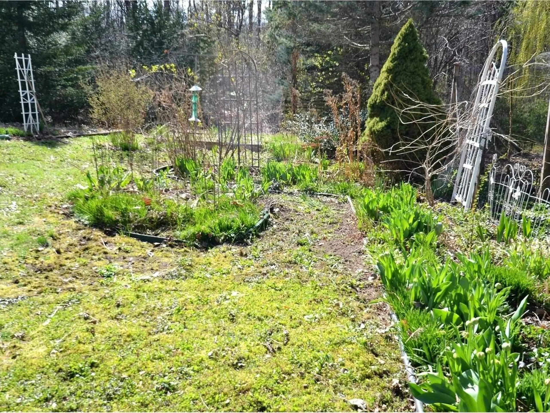 29 South Crest Drive Burlington VT 05401