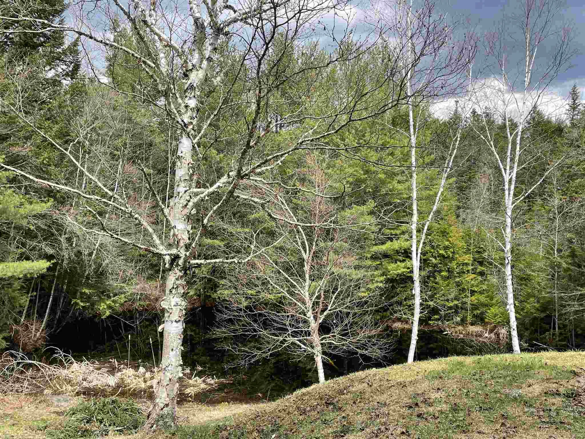 335 Hide And Seek Road Peru VT 05152