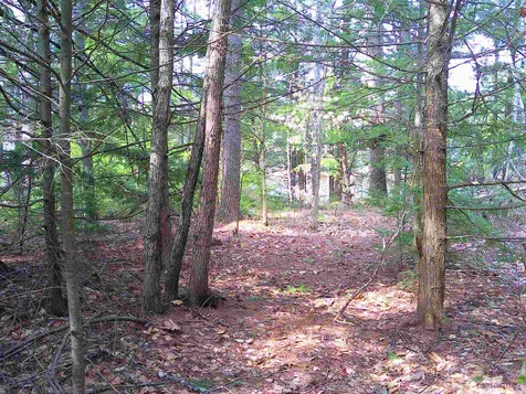 Lot 37 Sandy Point Road Barnstead NH 03225