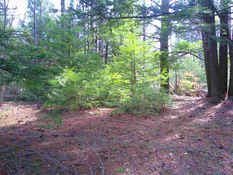 Lot 37 Sandy Point Road Barnstead NH 03225