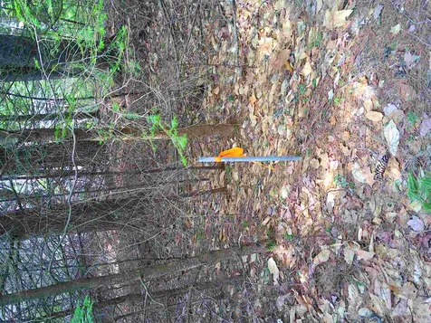 Lot 37 Sandy Point Road Barnstead NH 03225