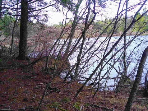 Lot 37 Sandy Point Road Barnstead NH 03225