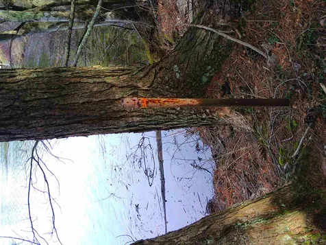 Lot 37 Sandy Point Road Barnstead NH 03225
