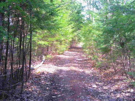 Lot 37 Sandy Point Road Barnstead NH 03225